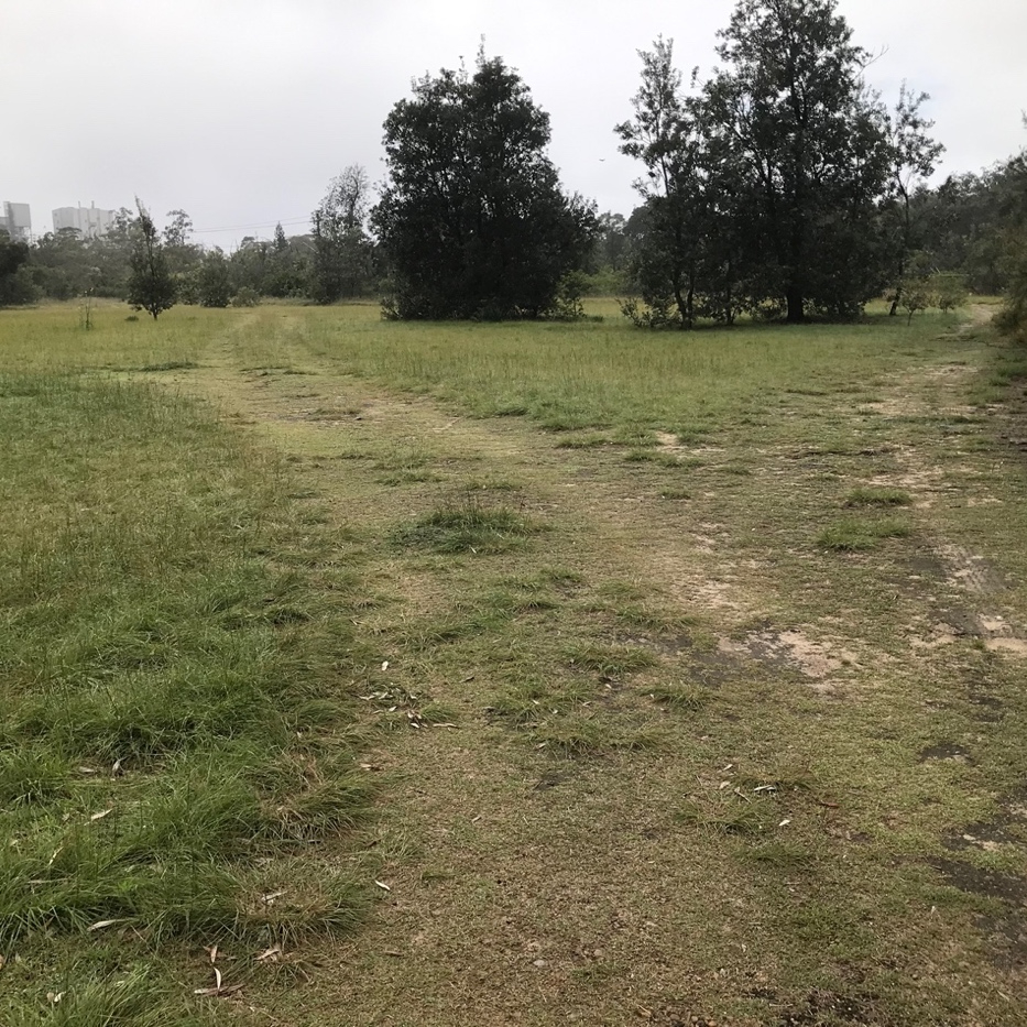 TOMAGO PICNIC GROUND