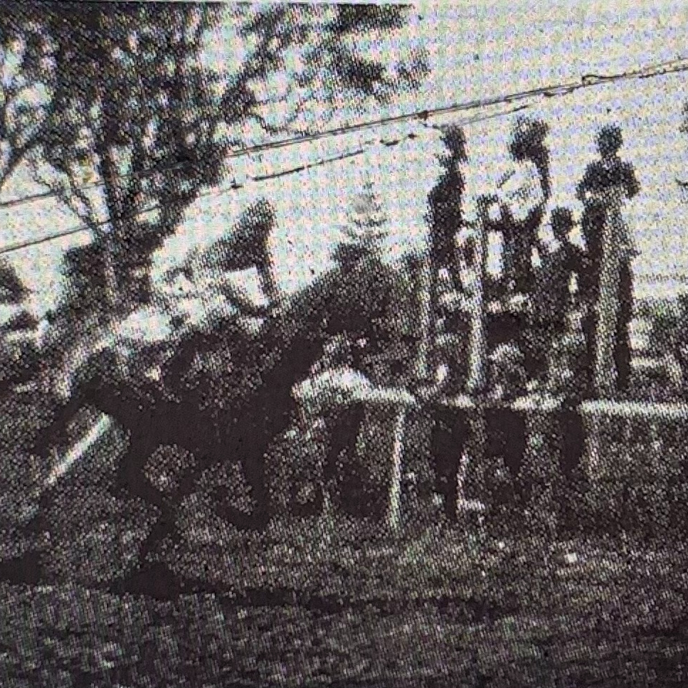 TEA GARDENS HORSE RACING&nbsp;TRACK