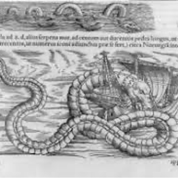 THE PORT STEPHENS SEA&nbsp;SERPENT