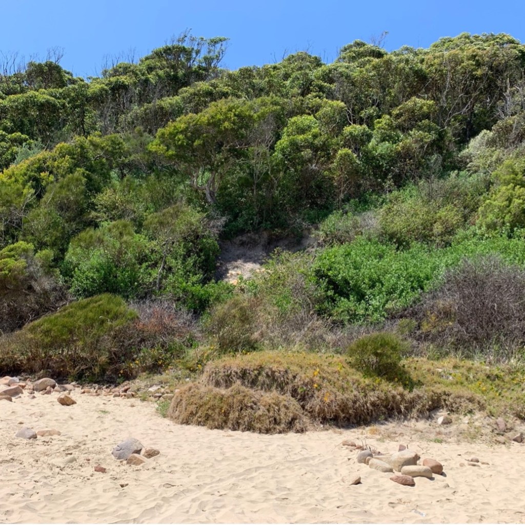 TRAGIC EVENTS AT PORT&nbsp;STEPHENS