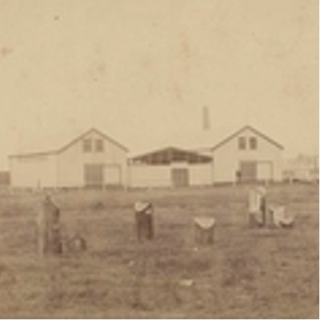 WOOD CHOPPING EVENTS AT PORT&nbsp;STEPHENS