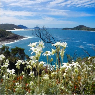 Collecting Shell Grit at Port&nbsp;Stephens