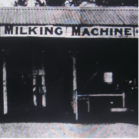 Proposal for a Butter Factory at Karuah&nbsp;1894