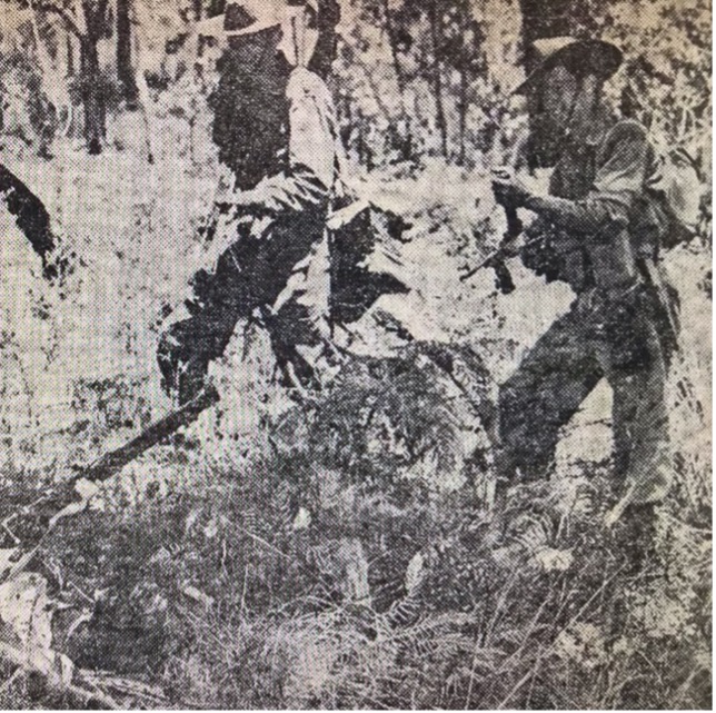 University Students at the Gan Gan Military Camp 1950 and&nbsp;1962