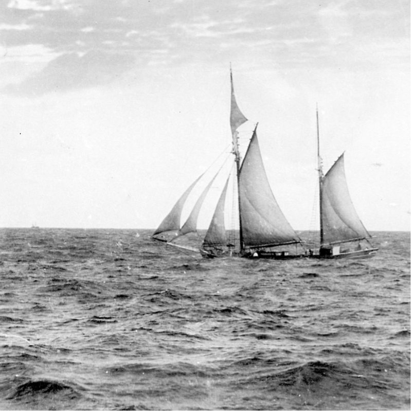 Shipwrecks Inside Port Stephens – 1869 to&nbsp;1950