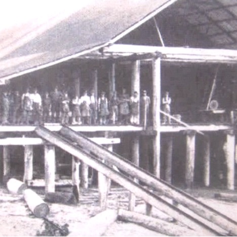 History of the Birdwood Timber Mill at Winda Woppa – Port&nbsp;Stephens