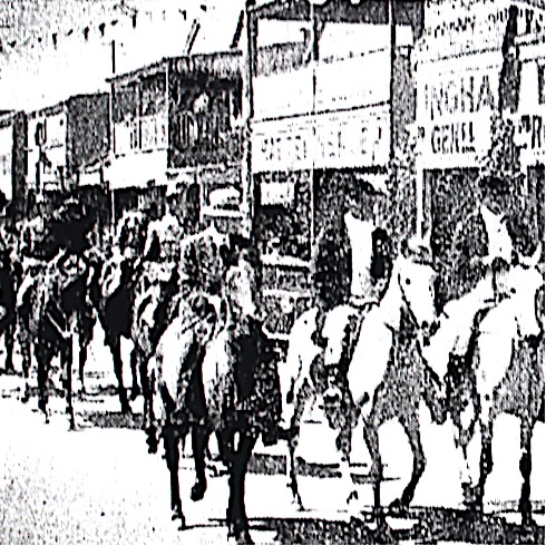 Raymond Terrace Municipal Council Jubilee Celebrations –&nbsp;1934